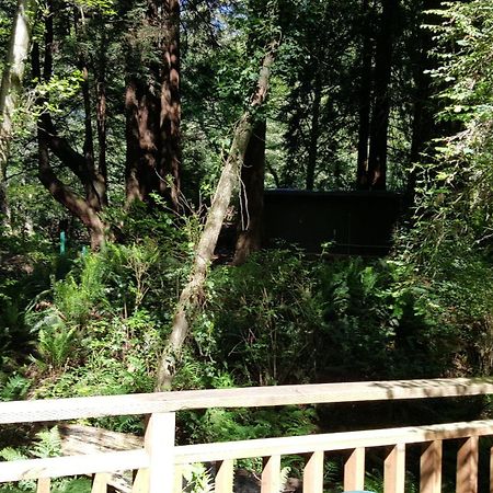 Emerald Forest Cabins Trinidad Room photo