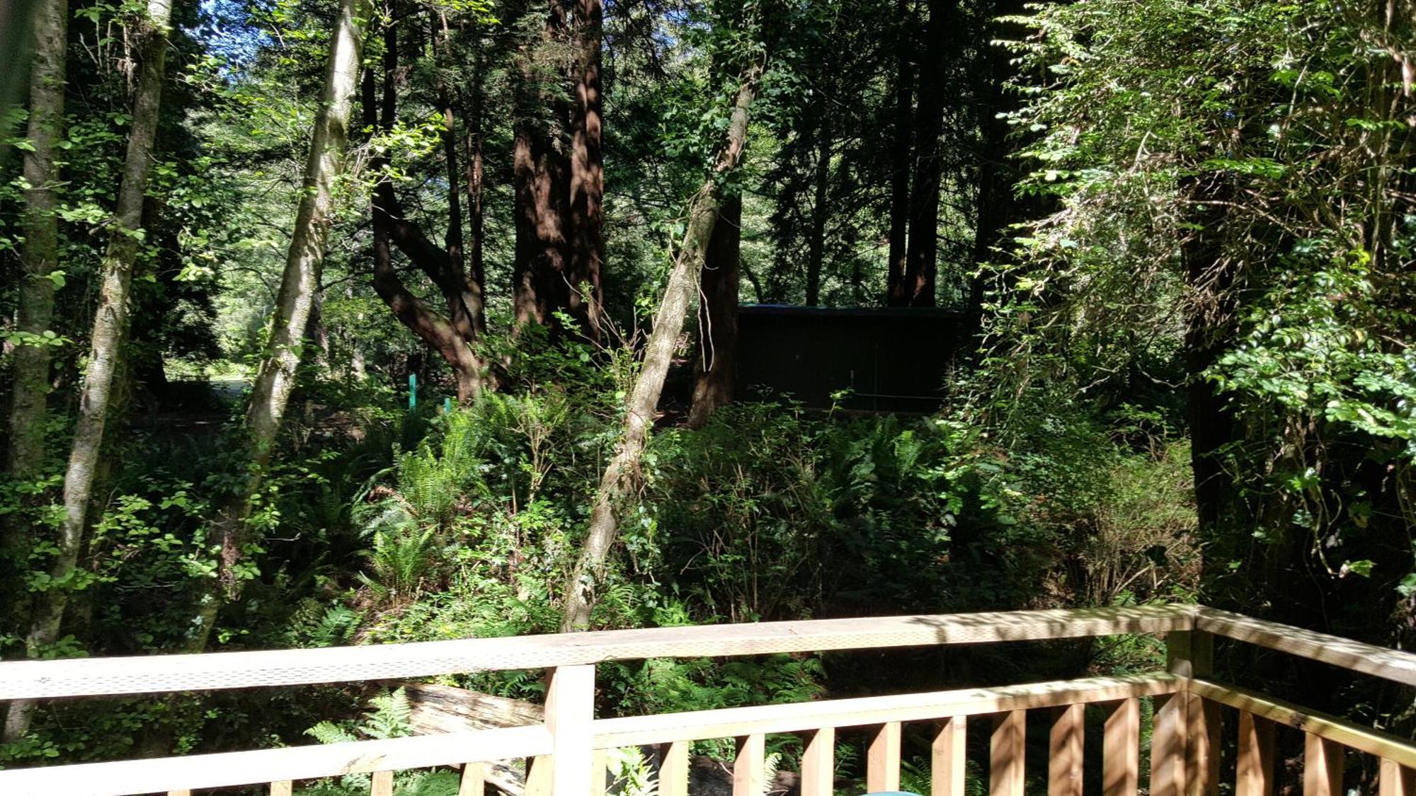 Emerald Forest Cabins Trinidad Room photo