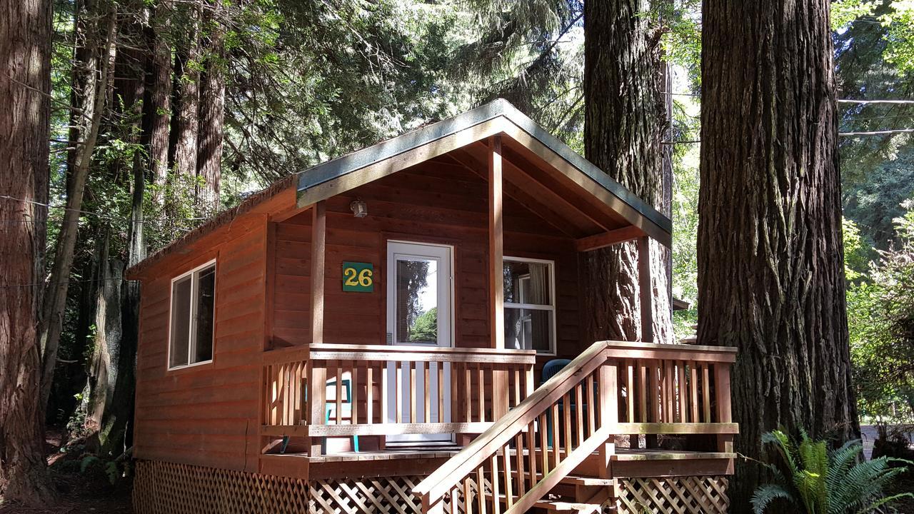 Emerald Forest Cabins Trinidad Exterior photo
