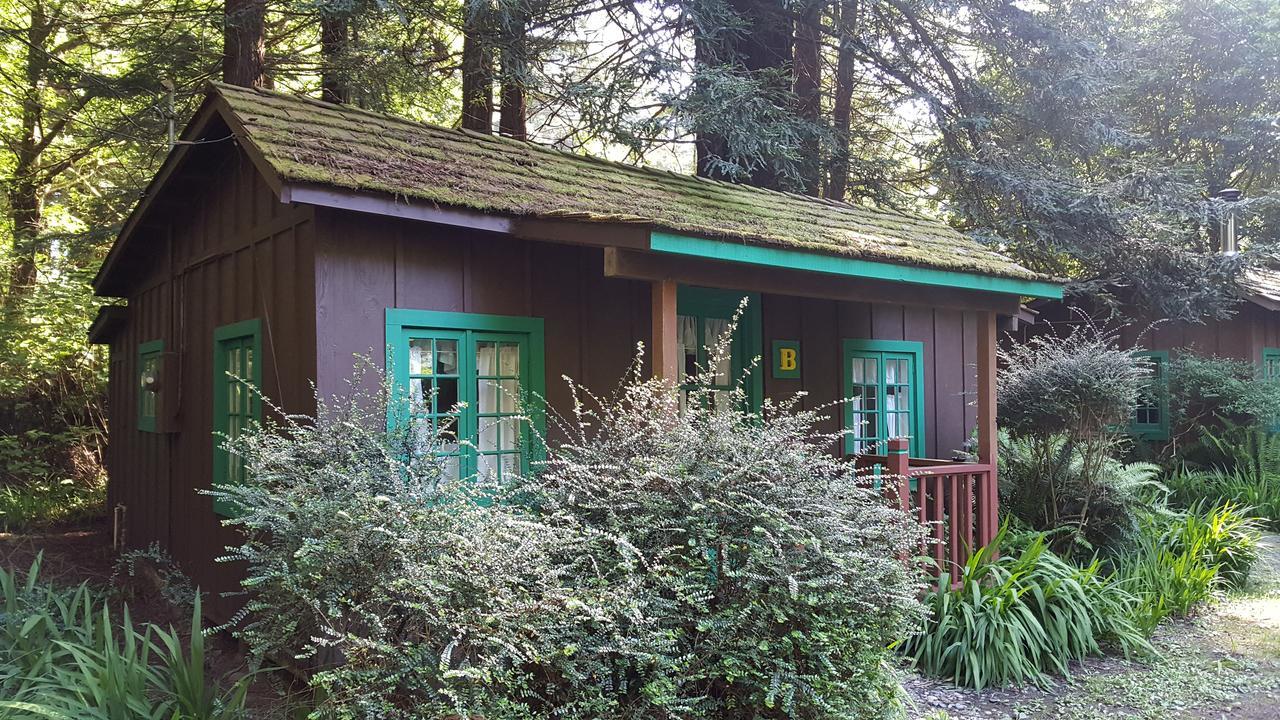 Emerald Forest Cabins Trinidad Exterior photo