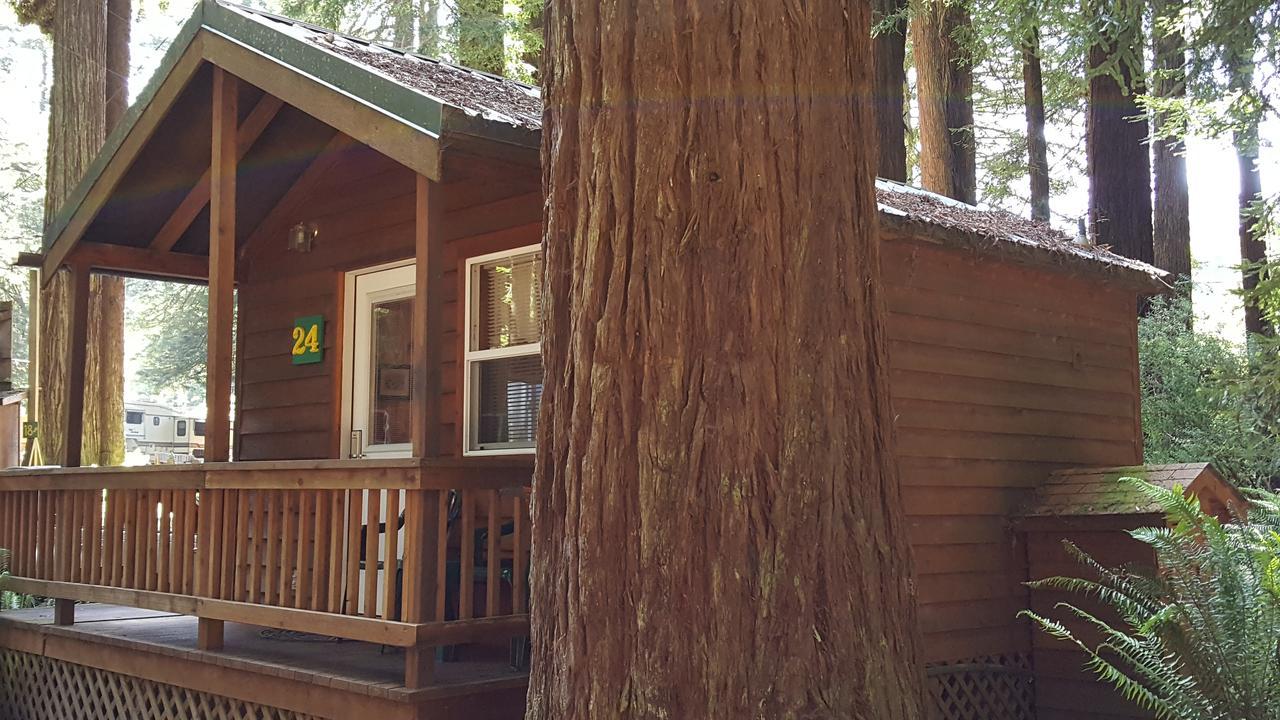 Emerald Forest Cabins Trinidad Exterior photo