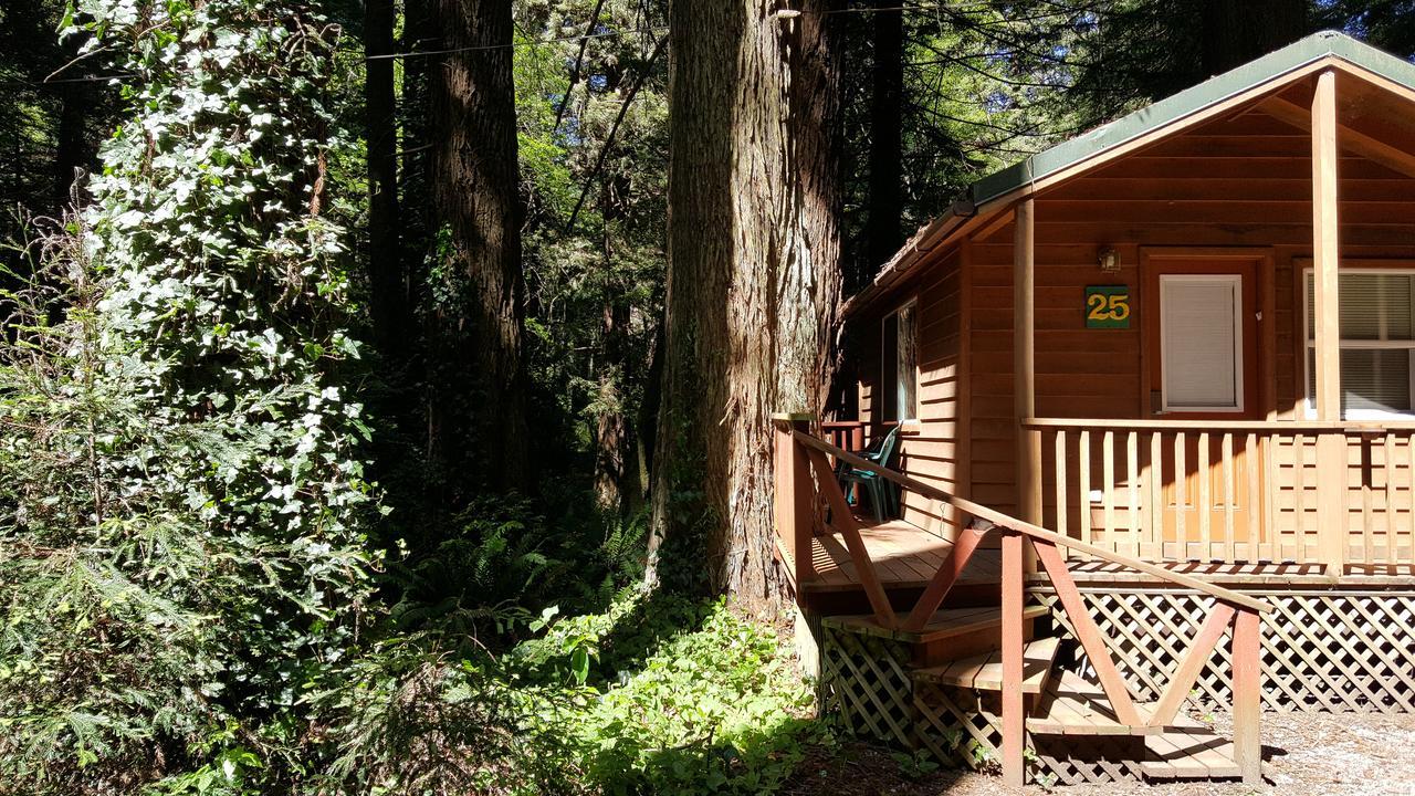 Emerald Forest Cabins Trinidad Exterior photo