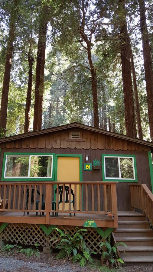 Emerald Forest Cabins Trinidad Room photo
