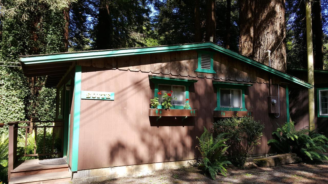 Emerald Forest Cabins Trinidad Room photo