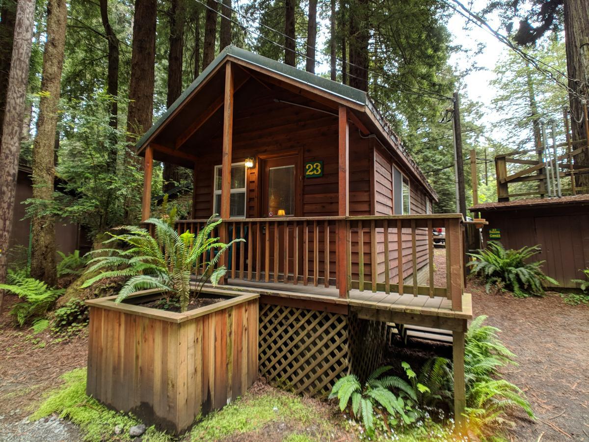 Emerald Forest Cabins Trinidad Exterior photo