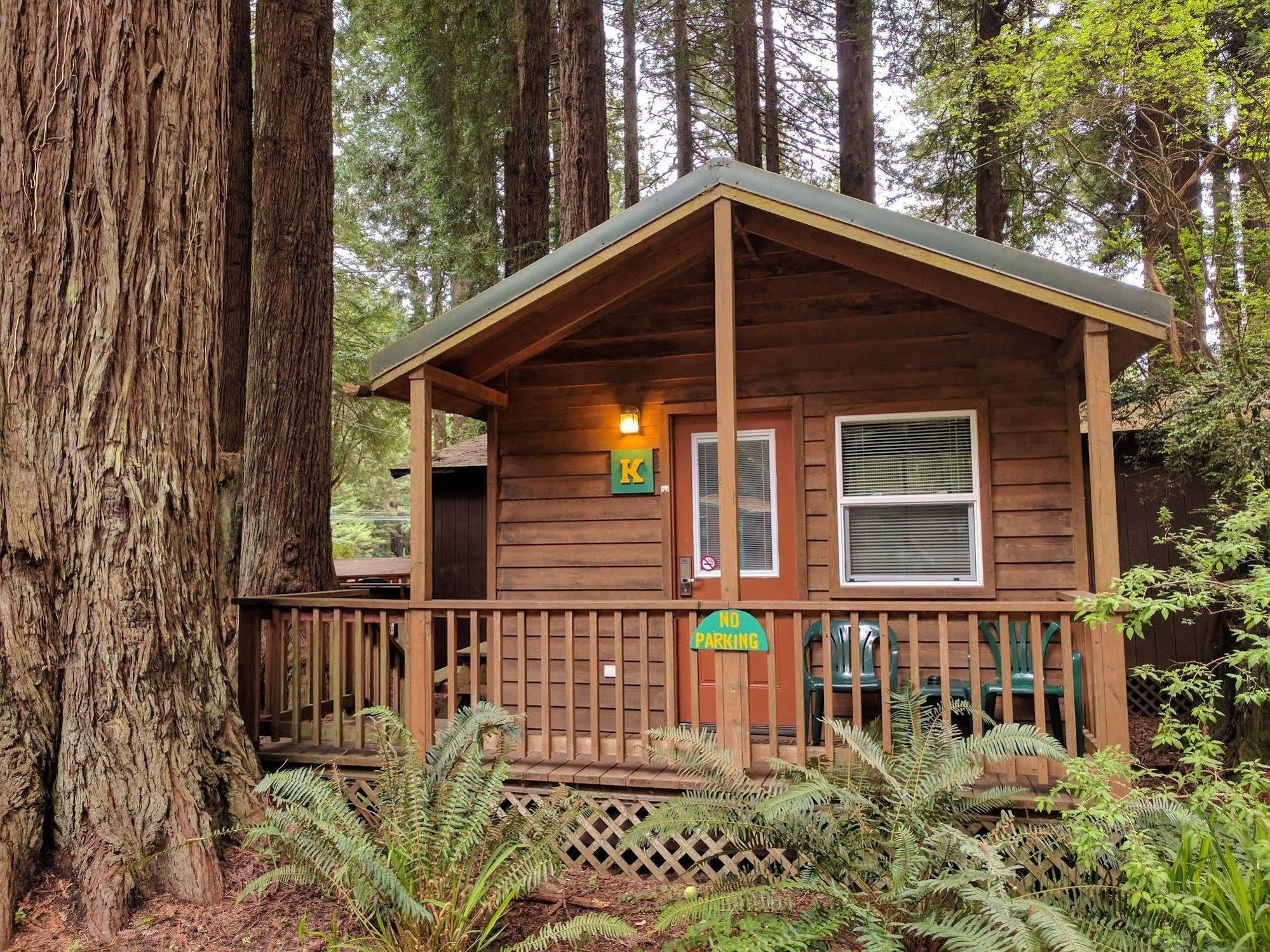 Emerald Forest Cabins Trinidad Exterior photo